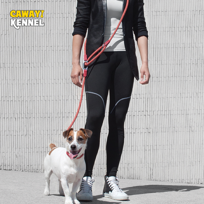 Running Gear Dog - CAWAYI KENNEL Reflective Nylon Leashes Pet