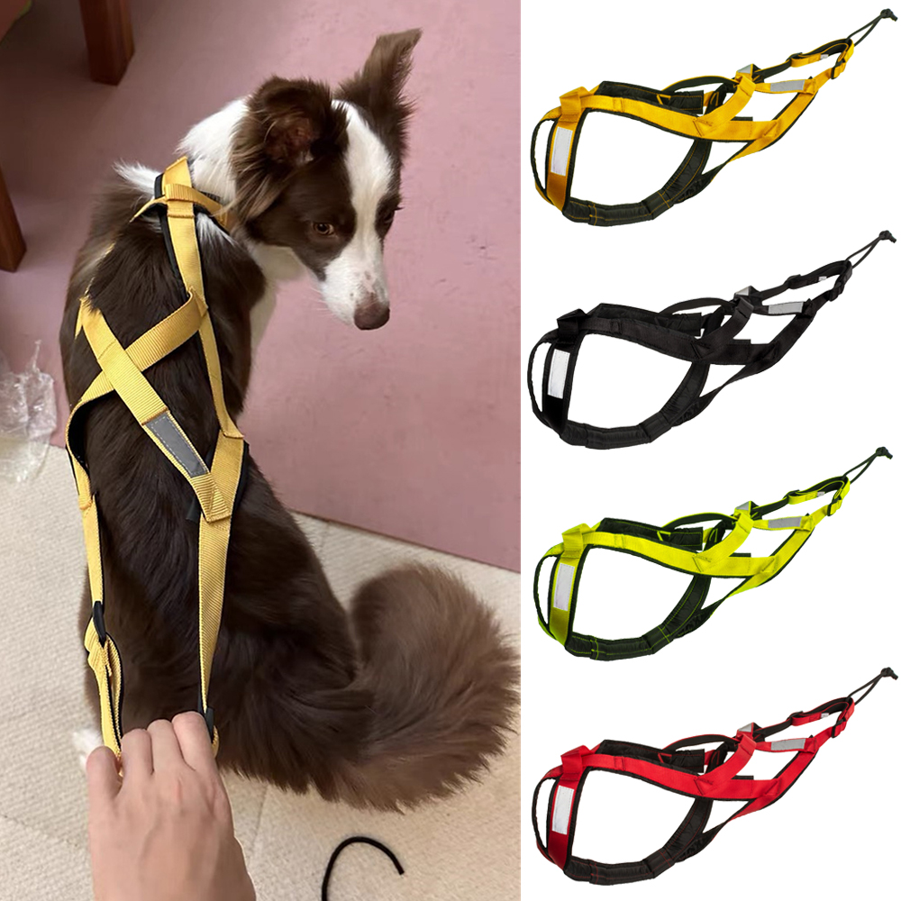 High Quality Big Dog Sledge Ha - Reflective Running Jacket ulasan dan harga