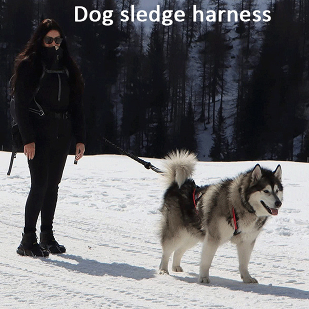 High Quality Big Dog Sledge Ha - Reflective Running Jacket ulasan dan harga