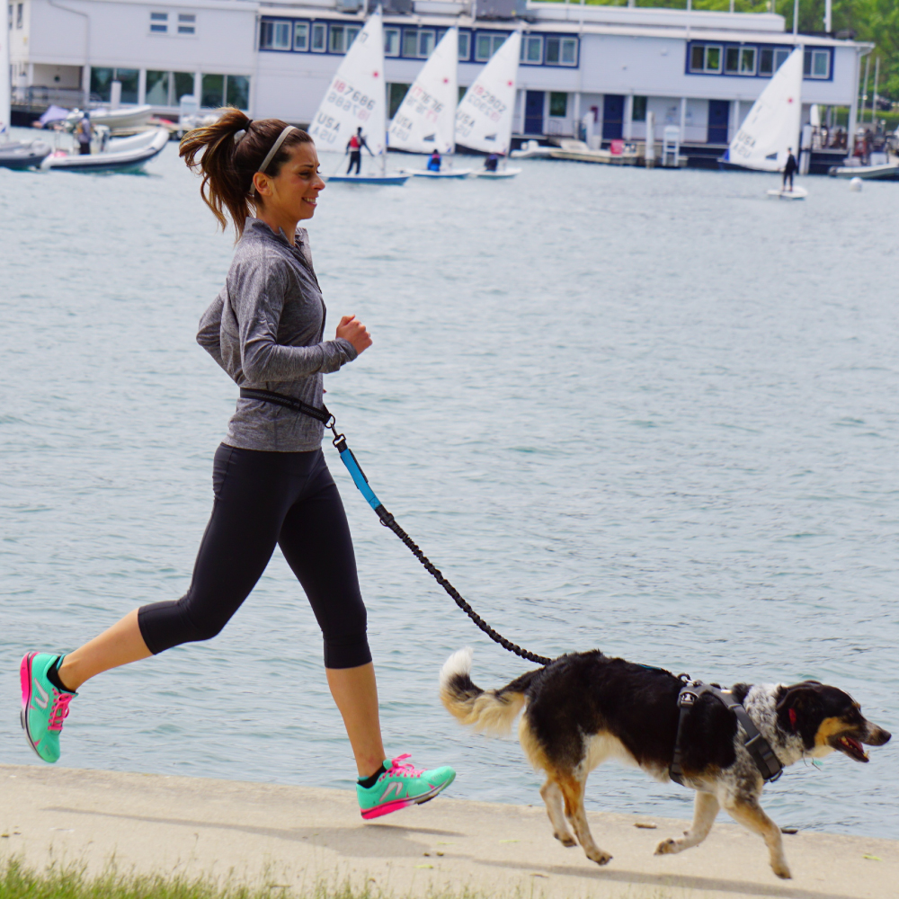 Hand Free Dog Leash for Pet Wa - Running Gear Dog ulasan dan harga