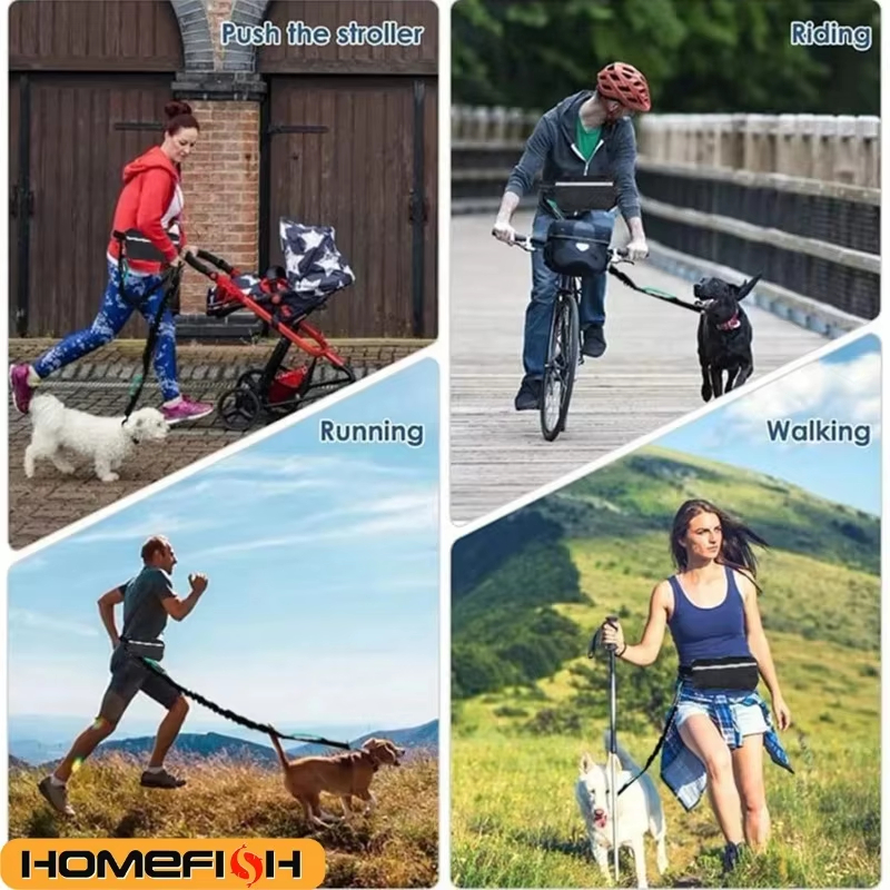 High Visibility Hands-Free Dog - Running Gear Dog ulasan dan harga