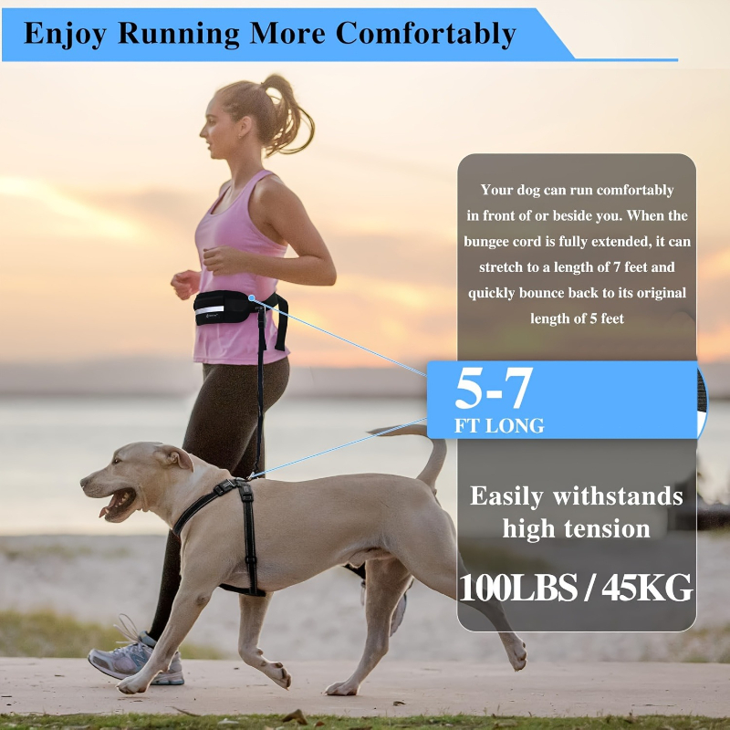 Hands Free Dog Leash with Zipp - Running Gear Dog ulasan dan harga