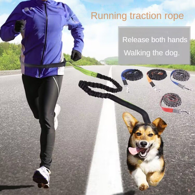 Hand Free Dog Leash for Pet Wa - Running Gear Dog ulasan dan harga