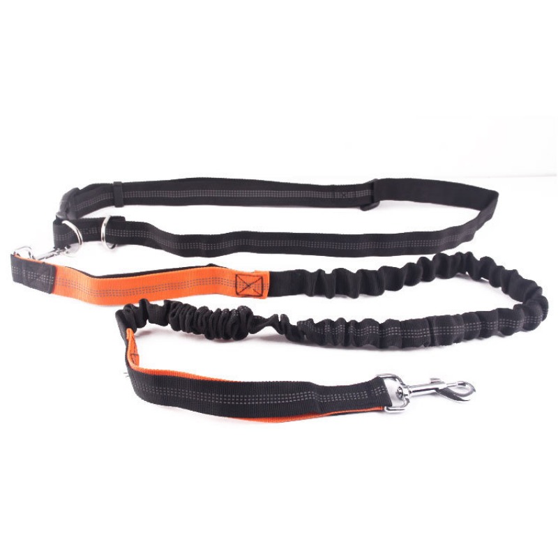 Hand Free Dog Leash for Pet Wa - Running Gear Dog ulasan dan harga