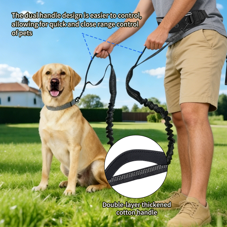 Foldable Reflective Dog Leash  - Running Gear Dog ulasan dan harga