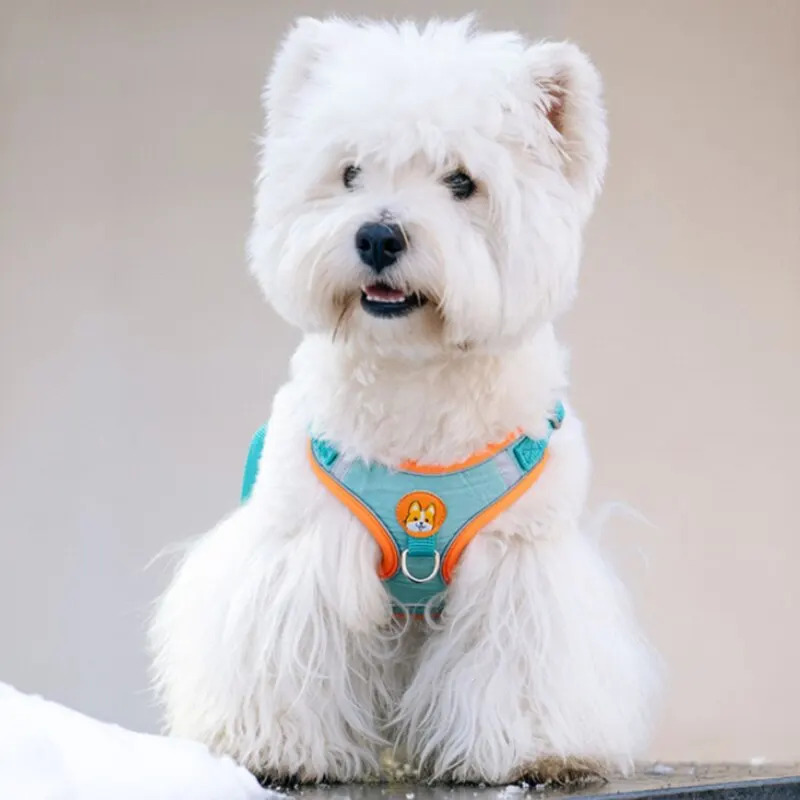Adjustable No Pull Reflective  - Running Gear Dog ulasan dan harga