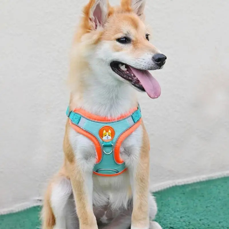 Adjustable No Pull Reflective  - Running Gear Dog ulasan dan harga