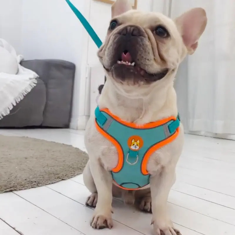 Adjustable No Pull Reflective  - Running Gear Dog ulasan dan harga
